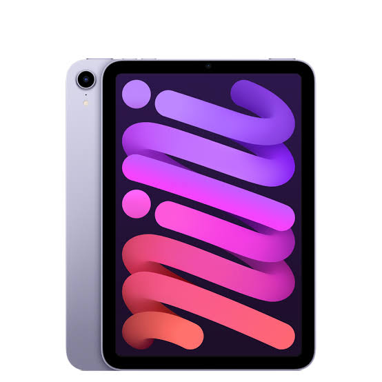 Apple iPad Mini 6 256GB Purple – Reelbee