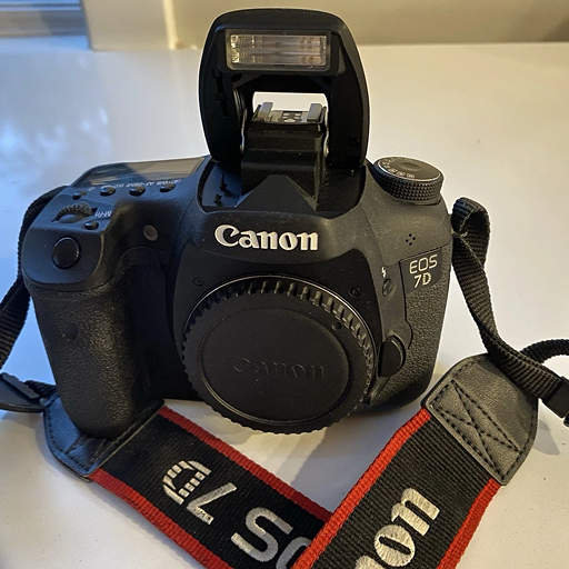 Canon EOS 7D Camera Body DS126251 with strap and LC-E6 charger